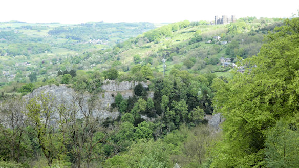 view